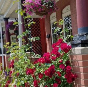 Meet your Posher, Stacey